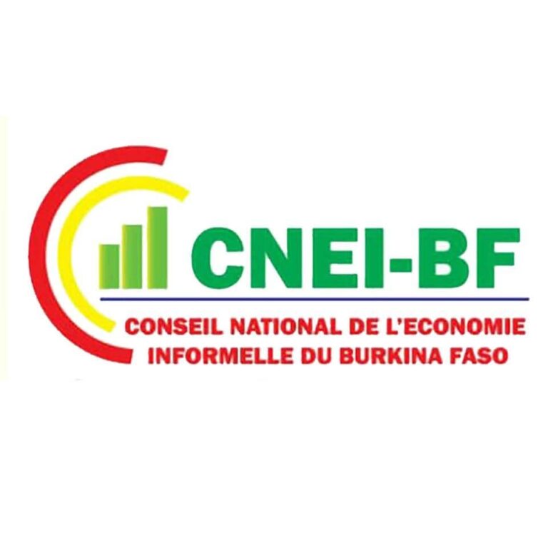 Burkina/Faso :RÉPONSES DU CNEI-BF AUX DÉTRACTEURS DU CONGRÈS NATIONAL DE RENOUVELLEMENT DES INSTANCES DU BUREAU EXÉCUTIF NATIONAL DU 28 NOVEMBRE 2024